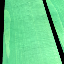 Sycomore Vert Pomme Placage Teinté 50 x 25 cm